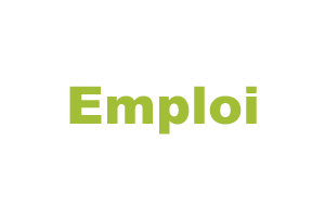 Slide Emploi